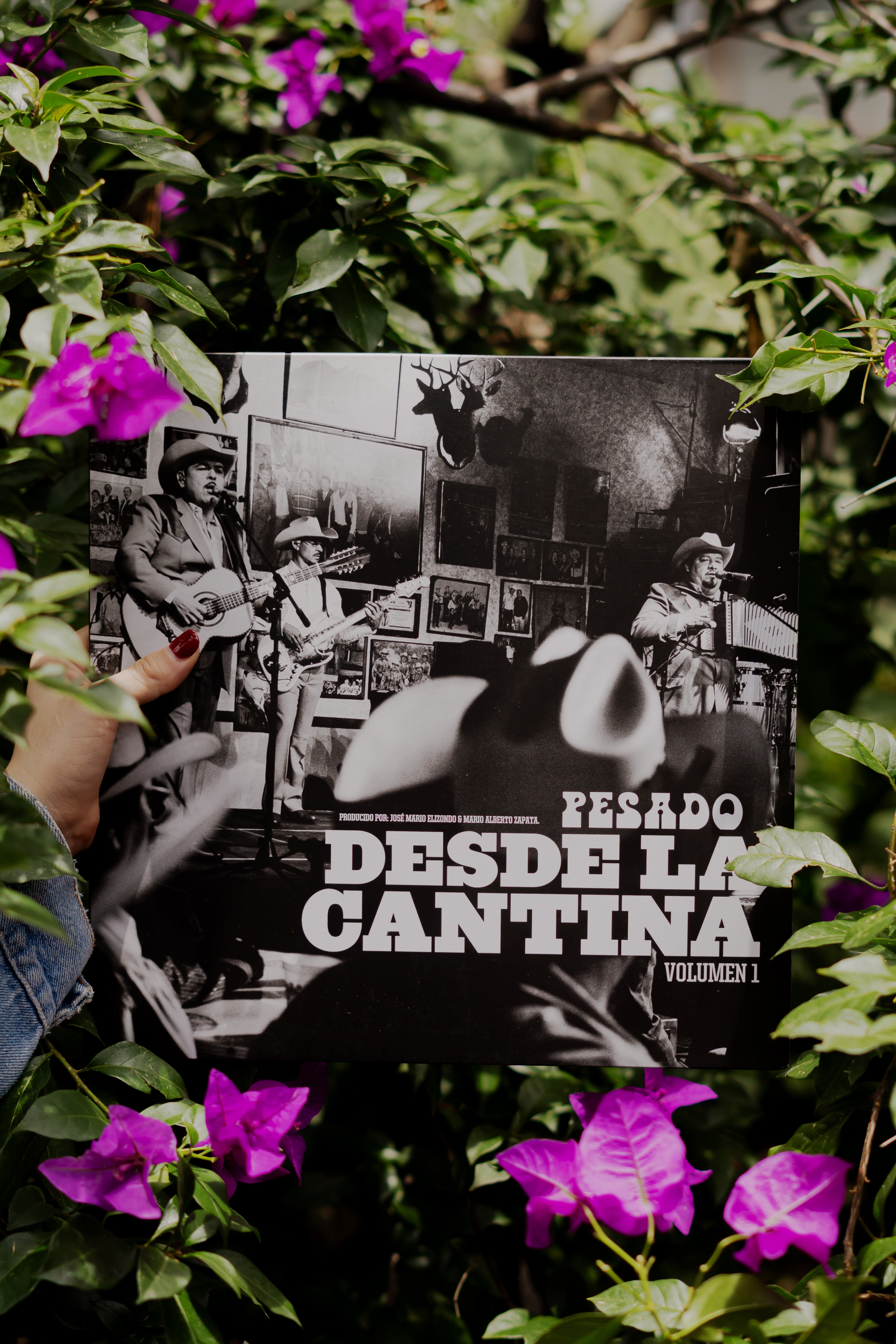 Pesado - Desde La Cantina (Vol.1 & II) 2LP Vinyl photo